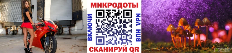 магазин продажи   Шахты  Галлюциногенные грибы MAGIC MUSHROOMS 