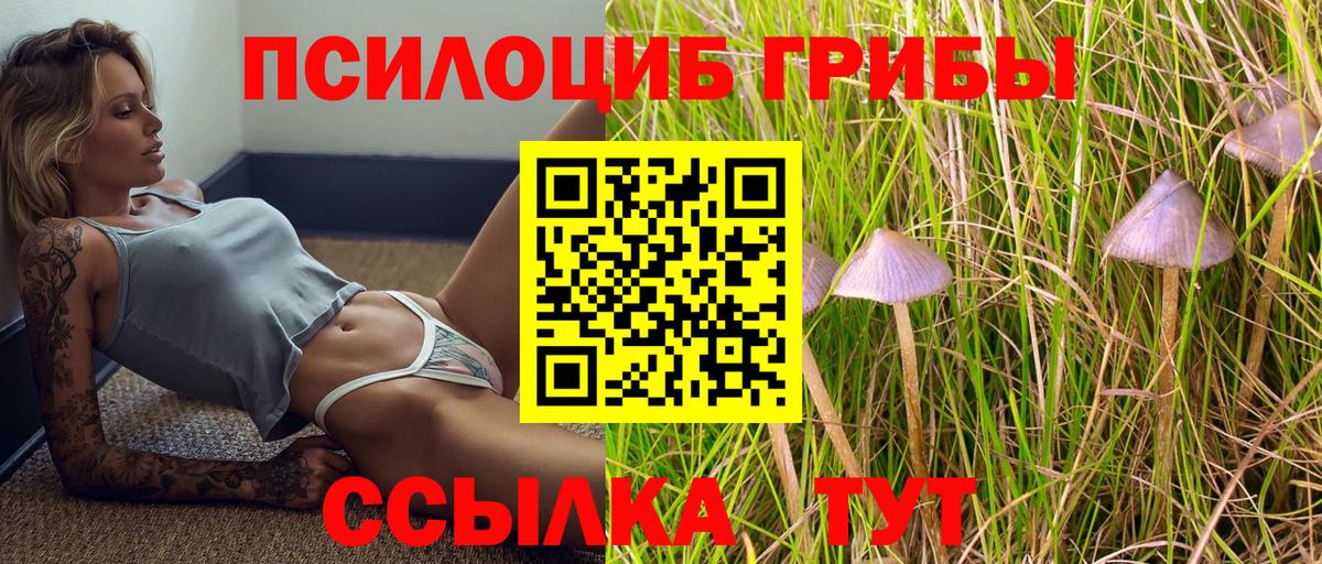 Псилоцибиновые грибы GOLDEN TEACHER Шахты