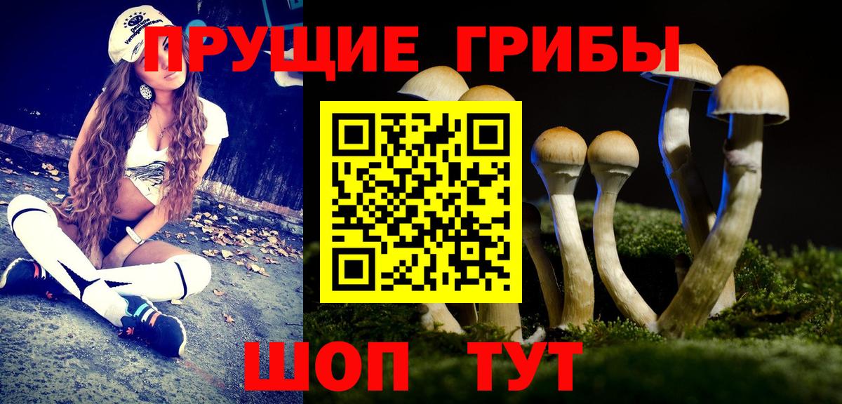 Псилоцибиновые грибы мухоморы  Вход с VPN  Шахты 